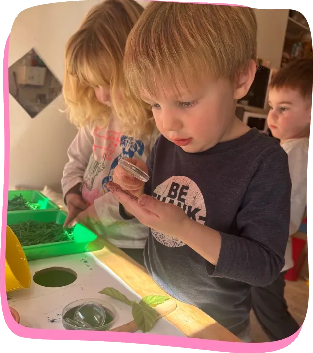 Preschoolers examine leaves and plants at a light table at Songbird Academy