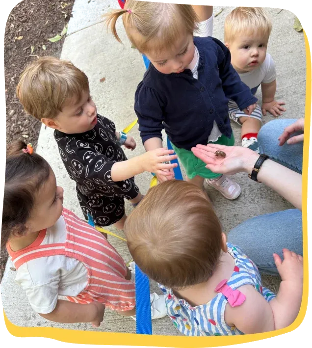 Toddlers gather around a teacher’s hand to look at a bug outside Songbird Academy